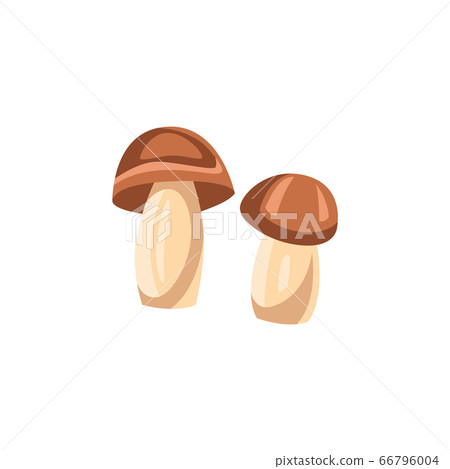 Vector food mushroom allergen icon 66796004