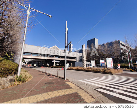 大田市場 大田市場 66796536