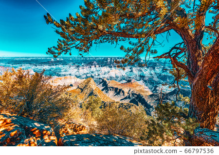 Amazing natural geological formation - Grand 66797536