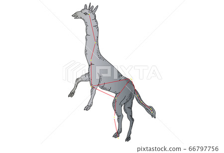 88星座與影子長頸鹿 88星座與影子長頸鹿 66797756