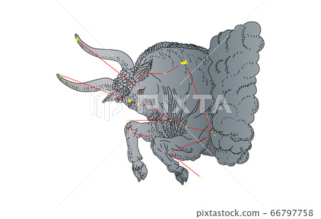 88 constellation with shadow Taurus 88 constellation with shadow Taurus 66797758