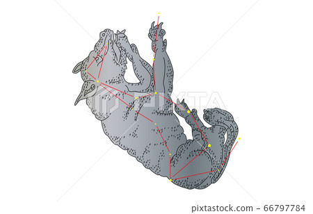 88 constellation with shadow 66797784