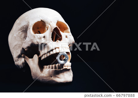 A human skull holds a large steel nut in its A human skull holds a large steel nut in its 66797888