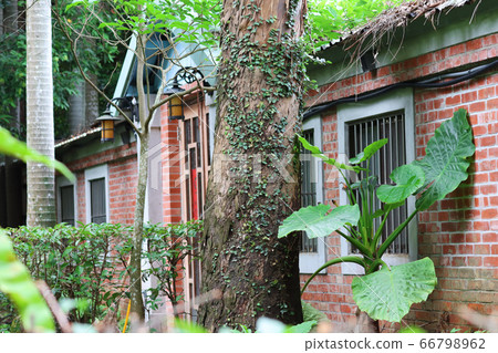Old brick house in the woods Old brick house in the woods 66798962