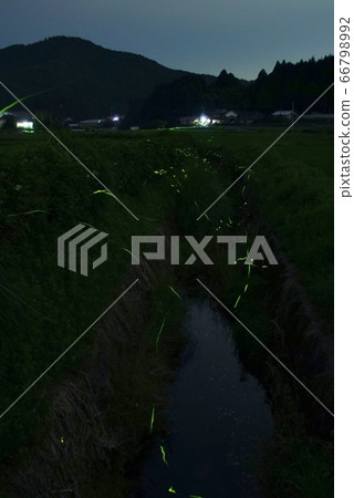 和歌山縣伊東郡葛城町螢之里天野 66798992