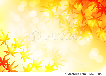  秋葉槭樹秋天背景 66799058