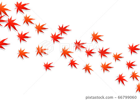 Autumn leaves maple autumn background Autumn leaves maple autumn background 66799060