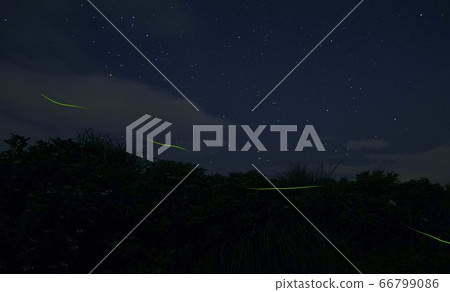 Amano, Hotaru no Sato, Katsuragi-cho, Ito-gun, Wakayama Prefecture Amano, Hotaru no Sato, Katsuragi-cho, Ito-gun, Wakayama Prefecture 66799086