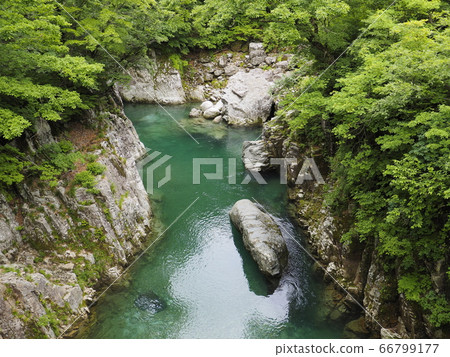 From the Tamagawa Valley and Tengu Bridge in spring [Oguni Town, Yamagata Prefecture] 66799177