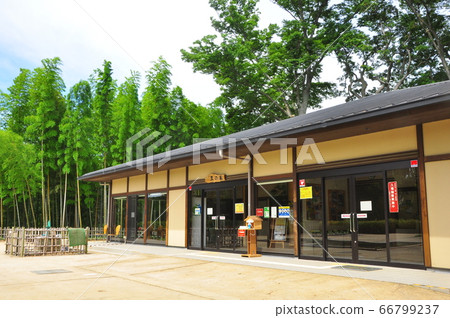 神奈川縣茅崎市茅崎里山公園村屋和新鮮綠色 神奈川縣茅崎市茅崎里山公園村屋和新鮮綠色 66799237