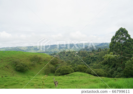 Salento landscape Salento landscape 66799611