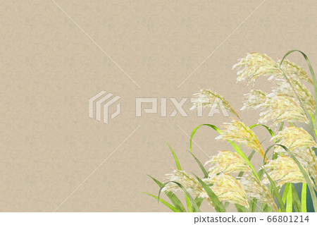 日本蒲葦水彩背景 66801214