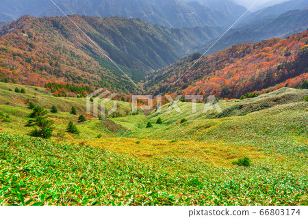 從二之石石山山垂直道到大河谷（愛媛縣西條市）的風景*註釋中的照片位置 66803174