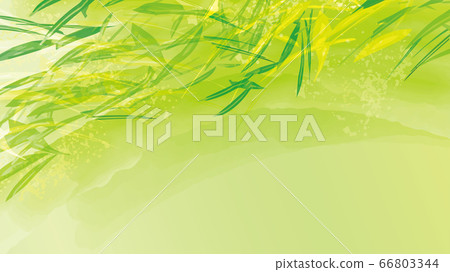 Bamboo background material like watercolor 66803344
