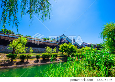 新鮮的綠色水道和月桂樹花圈大倉紀念館 66803426