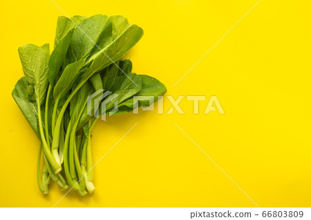Top view green fresh bok choy or Cantonese Green Top view green fresh bok choy or Cantonese Green 66803809