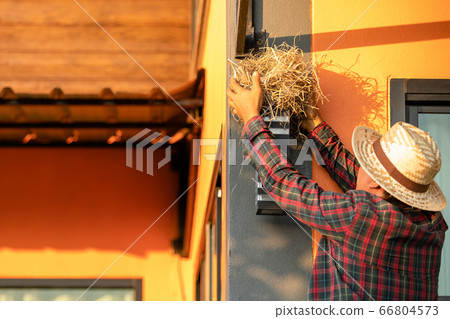 House owner removing the bird nest form house wall 66804573