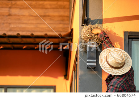 House owner removing the bird nest form house wall House owner removing the bird nest form house wall 66804574