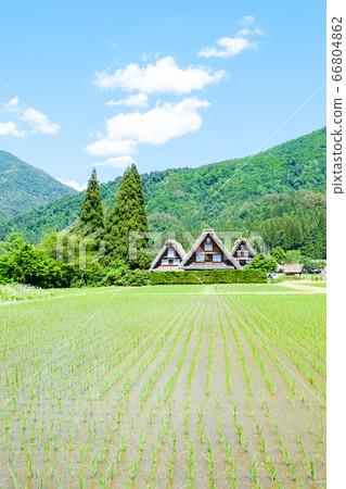Early summer Shirakawa-go (daytime) Early summer Shirakawa-go (daytime) 66804862