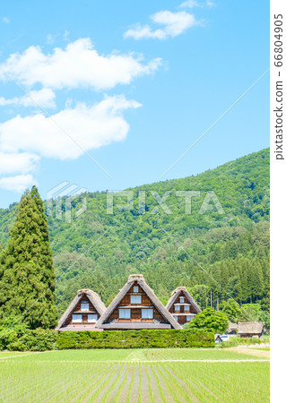 Early summer Shirakawa-go (daytime) Early summer Shirakawa-go (daytime) 66804905