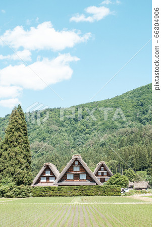 Early summer Shirakawa-go (daytime) Early summer Shirakawa-go (daytime) 66804906