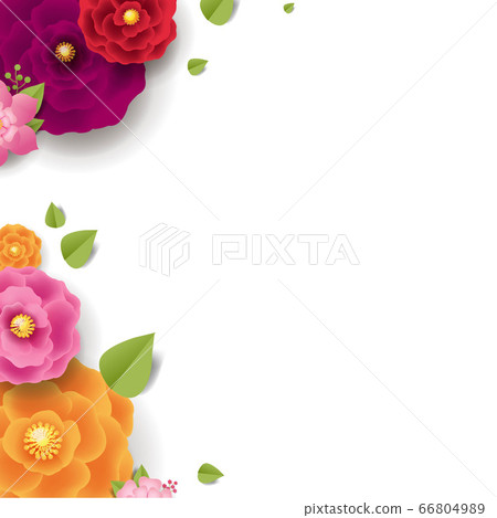 Spring Flowers Isolated White Background Spring Flowers Isolated White Background 66804989