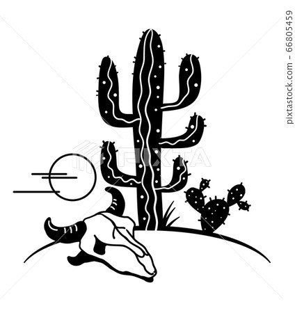 Desert landscape with Cactuses. Arizona desert 66805459