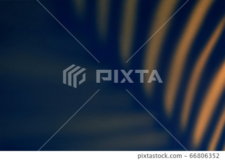 Beautiful monstera leaves shadow colored background in artificial light Beautiful monstera leaves shadow colored background in artificial light 66806352