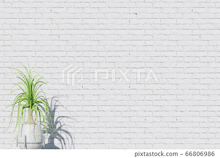 Houseplant On White Brick Wall Background Stock Illustration