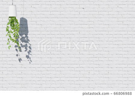 Houseplant On White Brick Wall Background Stock Illustration