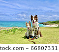 Okinawa  66807331