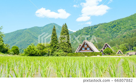 Early summer Shirakawa-go (daytime) Early summer Shirakawa-go (daytime) 66807882