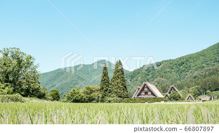 Early summer Shirakawa-go (daytime) 66807897