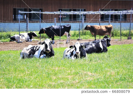 A landscape of a ranch A landscape of a ranch 66808079