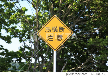 穿越馬警告標誌 穿越馬警告標誌 66808142