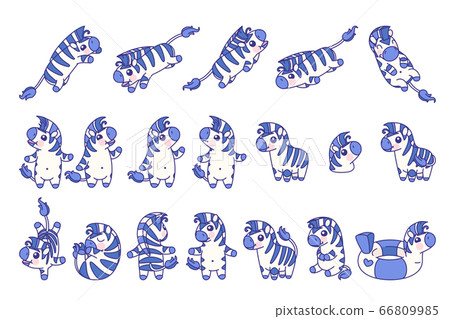 vector cute baby striped zebra 66809985