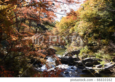 Shosenkyo秋葉 66810162