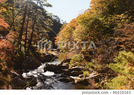 Shosenkyo秋葉 66810163