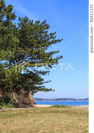 Miyanohana of Higashima, Minamichita Town, Aichi Prefecture Miyanohana of Higashima, Minamichita Town, Aichi Prefecture 66811155