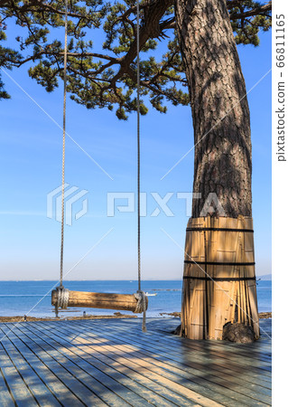 海蒂的鞦韆愛知縣東島 66811165