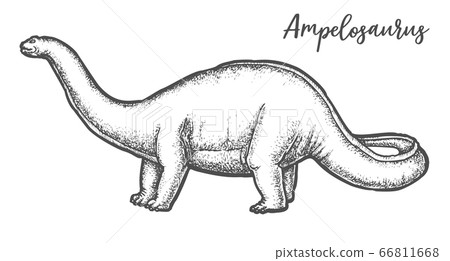 Ampelosaurus dino sketch or Sauropod dinosaur vector 66811668