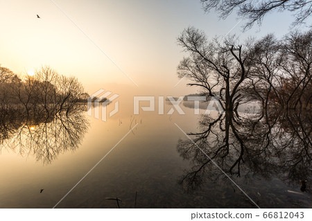 Morning view of daecheongho Morning view of daecheongho 66812043