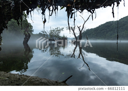 Morning in Lohas Park 66812111