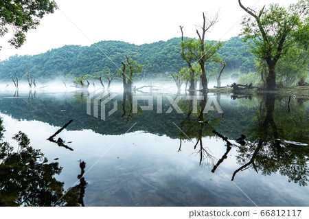 Lohas Park with water fog Lohas Park with water fog 66812117