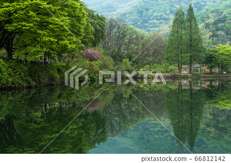 Reservoir Spring Reservoir Spring 66812142