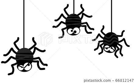 Spider material 66812147