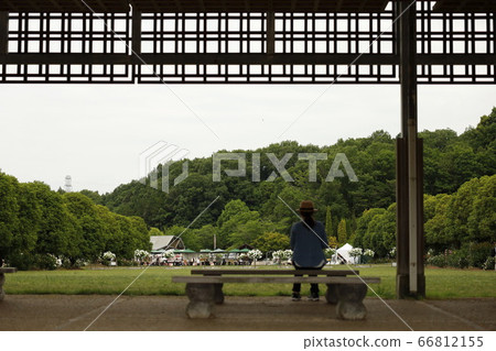 Woman in park and straw hat Woman in park and straw hat 66812155