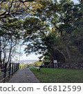 Wakkanai Park Nature 66812599