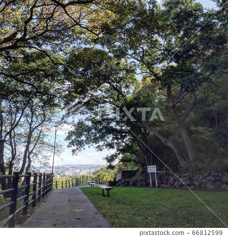 稚內公園自然 66812599