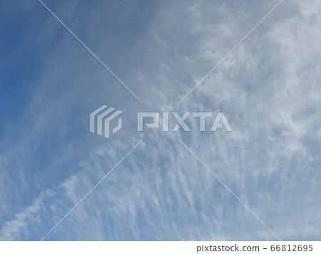 藍天 66812695